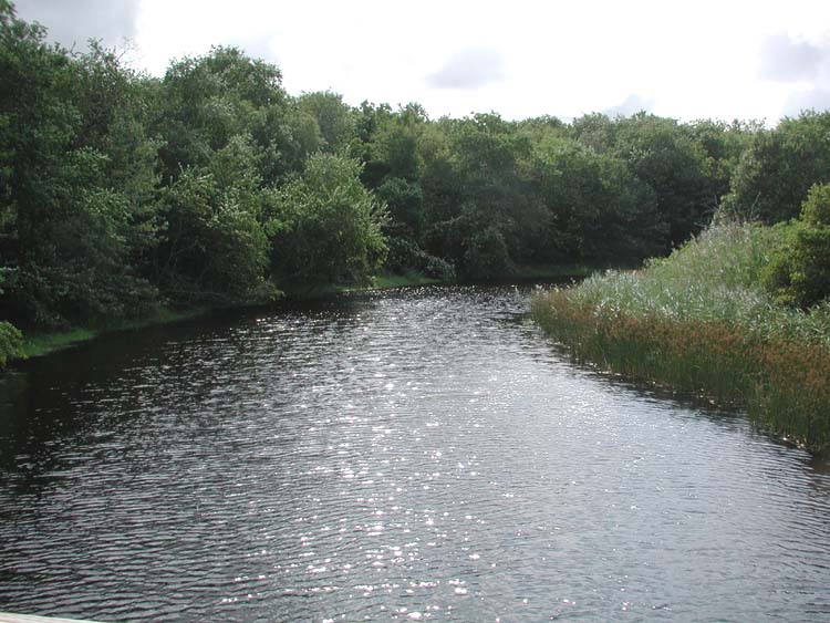 River at Dwyer Farm 5.jpg 87.4K